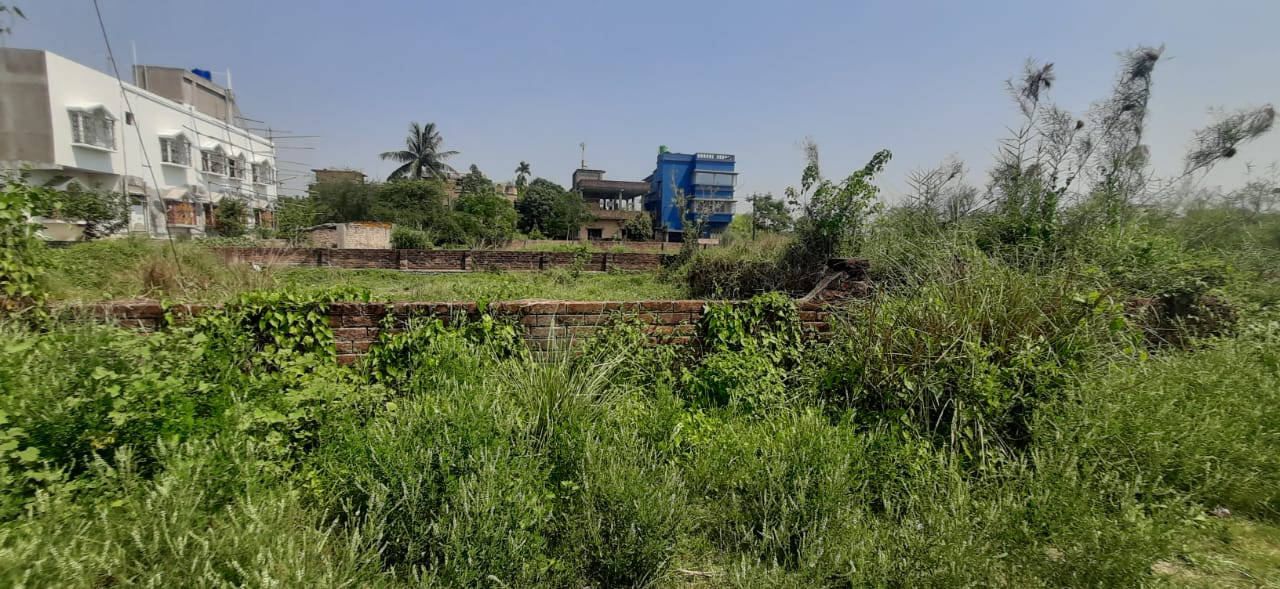 Konchowki,Sarada Garden,5katha Land (OA375)