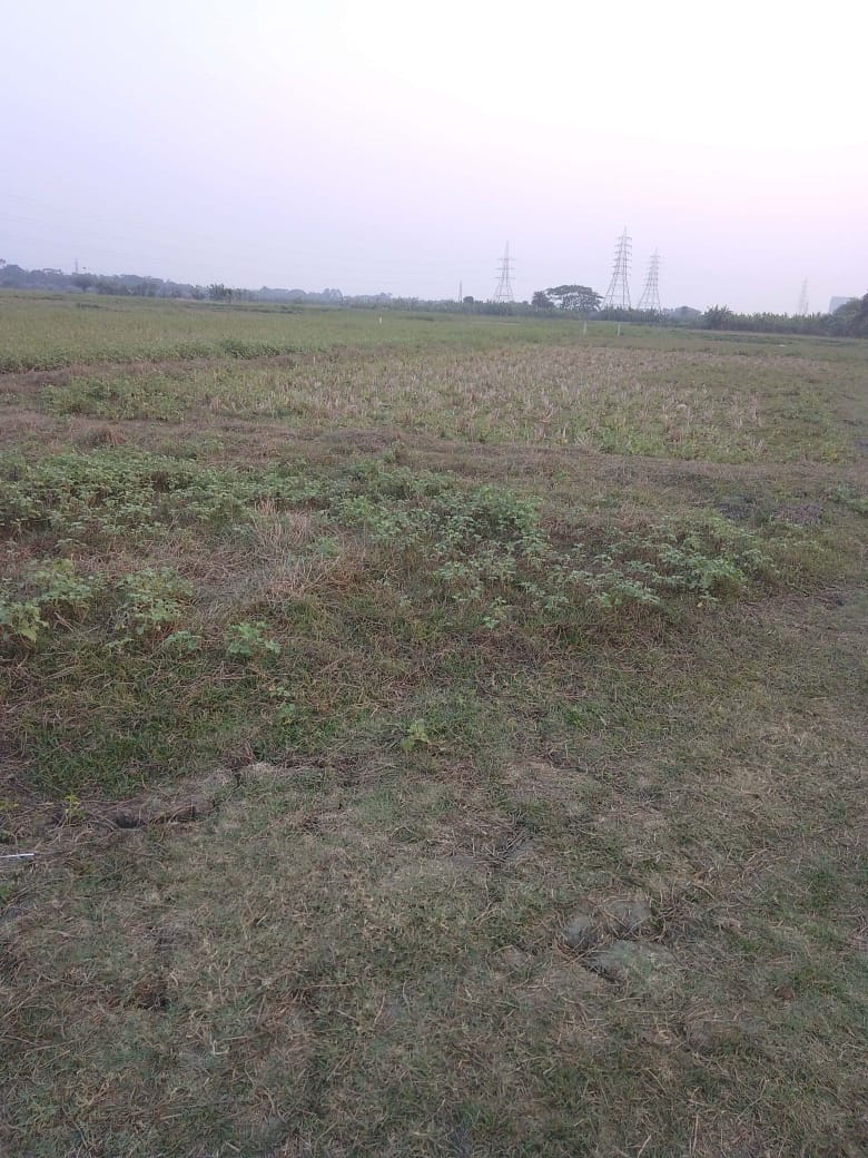 New Town,Bhagowanpur,Flora City Land Project (BA207)