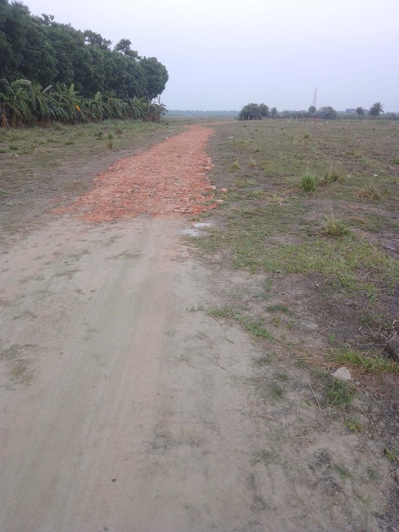 New Town,Bhagowanpur,Flora City Land Project (BA207)