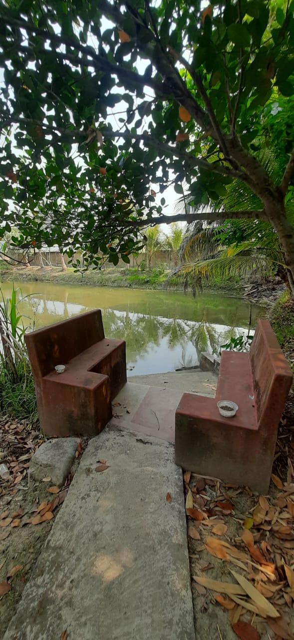 Falta,Mala Radhapur,50katha Land with 2Storey Bagan Bari (OA376)