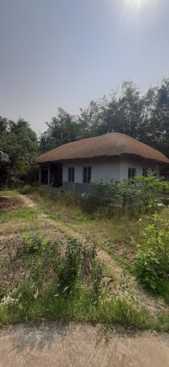Falta,Mala Radhapur,50katha Land with 2Storey Bagan Bari (OA376)