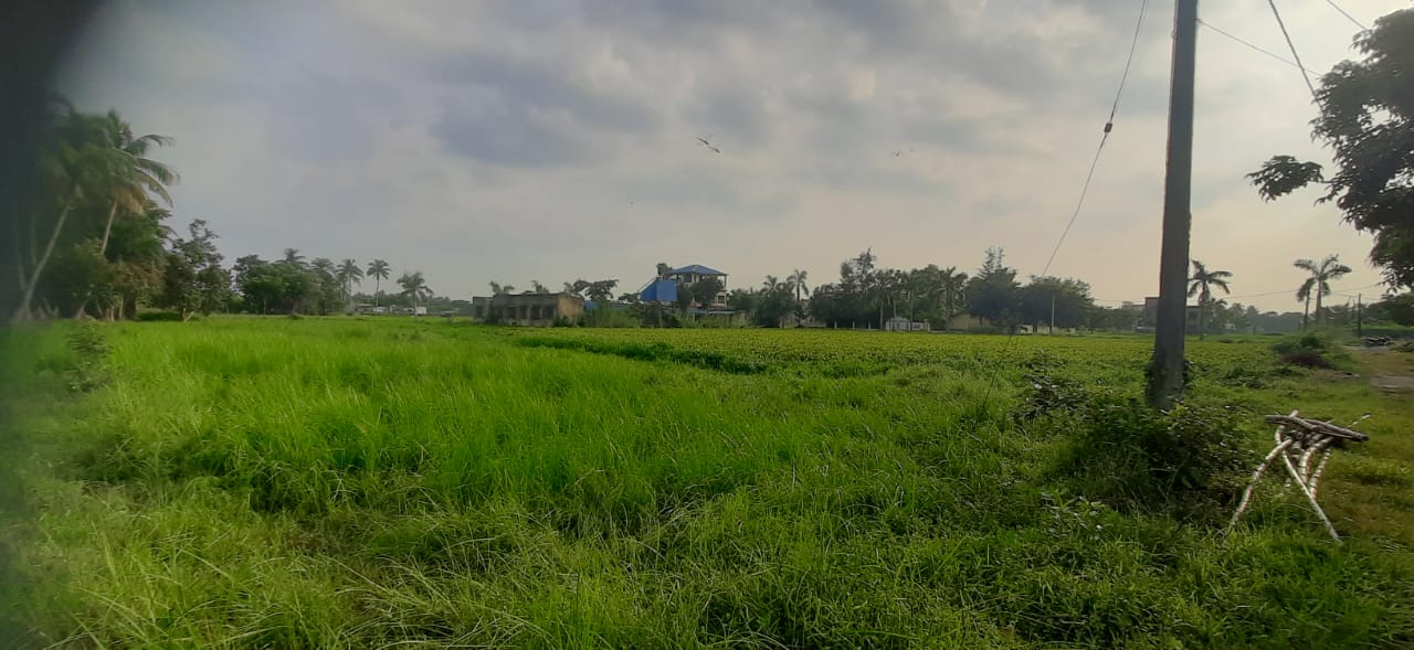 Pailan Janapriyo Park,Raghudevpur Mouza,8.5katha Land (OA401)