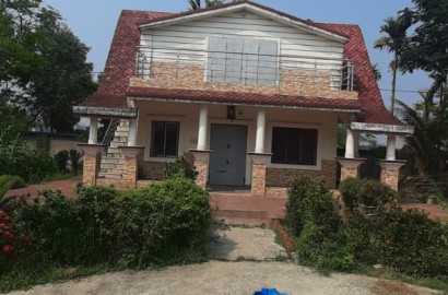 Falta,Mala Radhapur,50katha Land with 2Storey Bagan Bari (OA376)