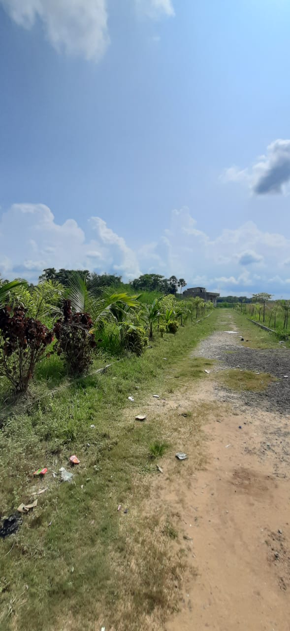 Samali,Independent Land Project (office)