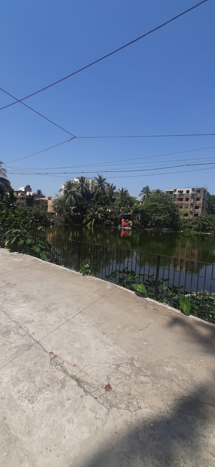 Behala East,Nalapukur Lane,1564sqft,4BHK (PA97)
