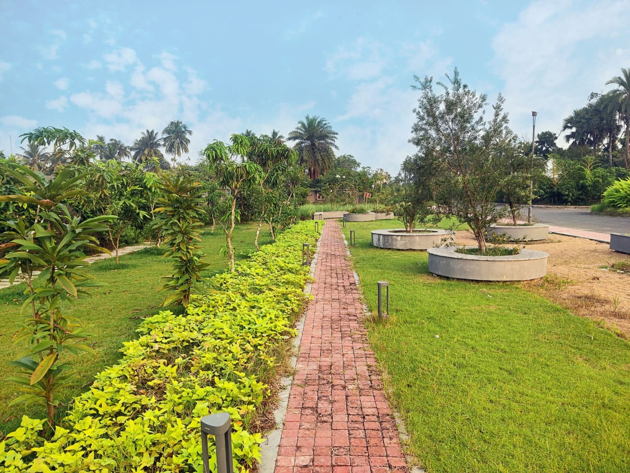 Bhasa,on D.H.Road,S24Pgs District,Swayam City (office)