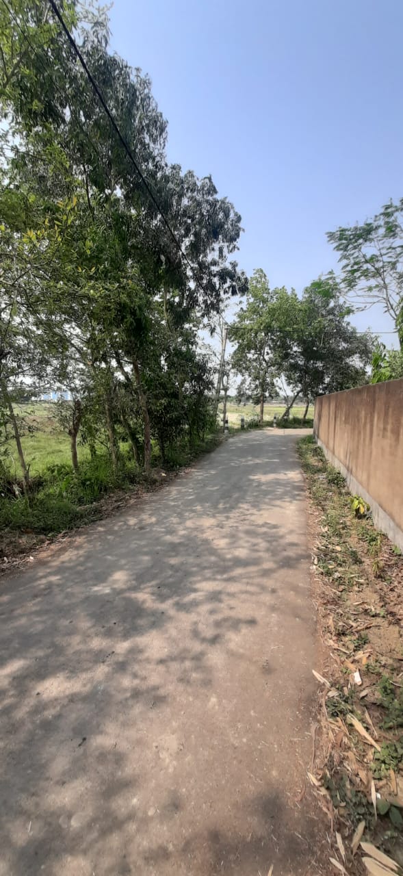 Falta,Mala Radhapur,50katha Land with 2Storey Bagan Bari (OA376)