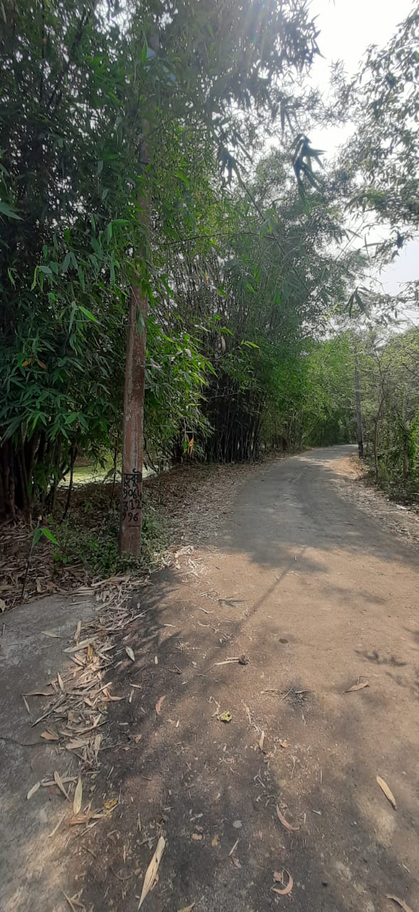 Falta,Mala Radhapur,50katha Land with 2Storey Bagan Bari (OA376)