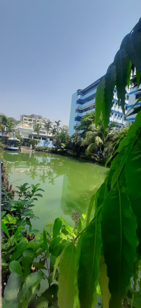 Chetla,Peary Mohan Roy Road,1450sqft,3BHK (BA10)