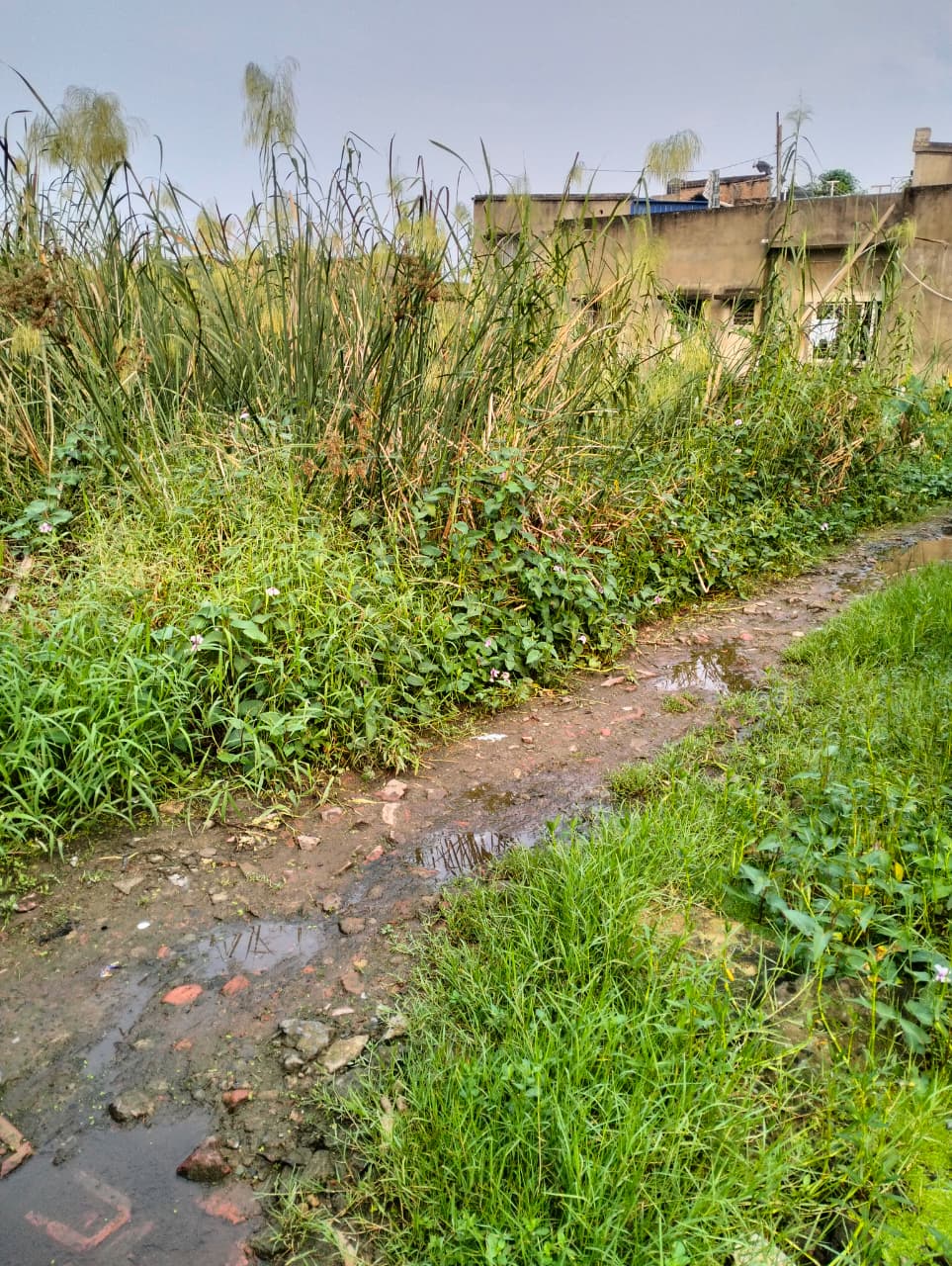 Maheshtala Shibrampur,Beledanga Bi Lane,Residential Land (OA413)