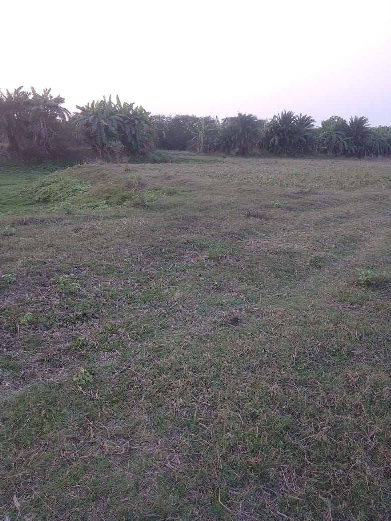 New Town,Bhagowanpur,Flora City Land Project (BA207)