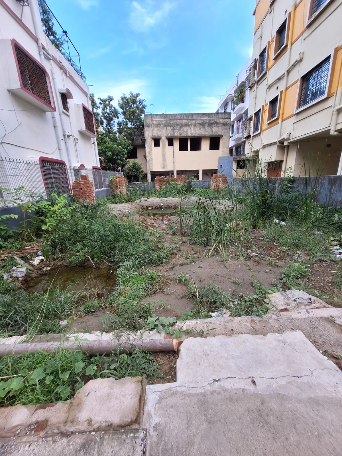 Diamond Park,800sqft,2BHK (PA443)