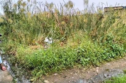 Maheshtala Shibrampur,Beledanga Bi Lane,Residential Land (OA413)