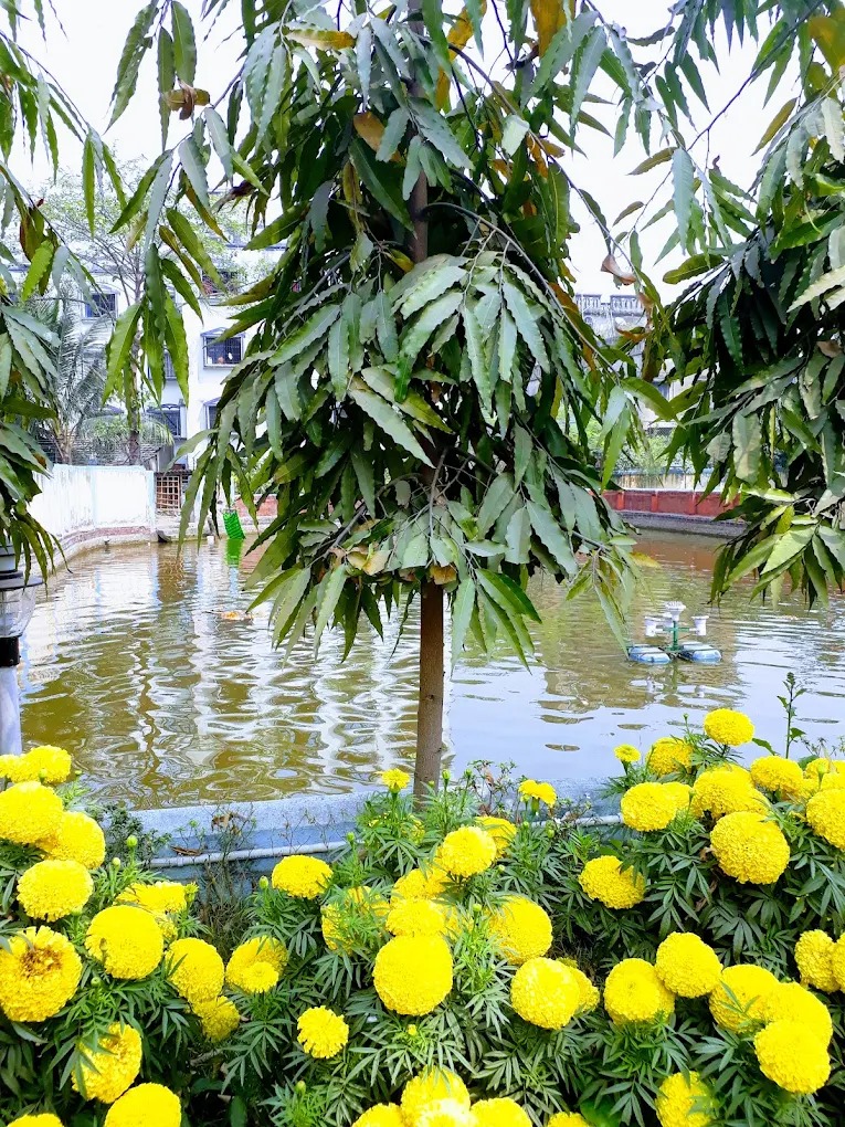 Purba Barisha,Kailash Ghosh Road,Soura Niloy Housing Complex,1675sqft,4BHK Rent (OA421)