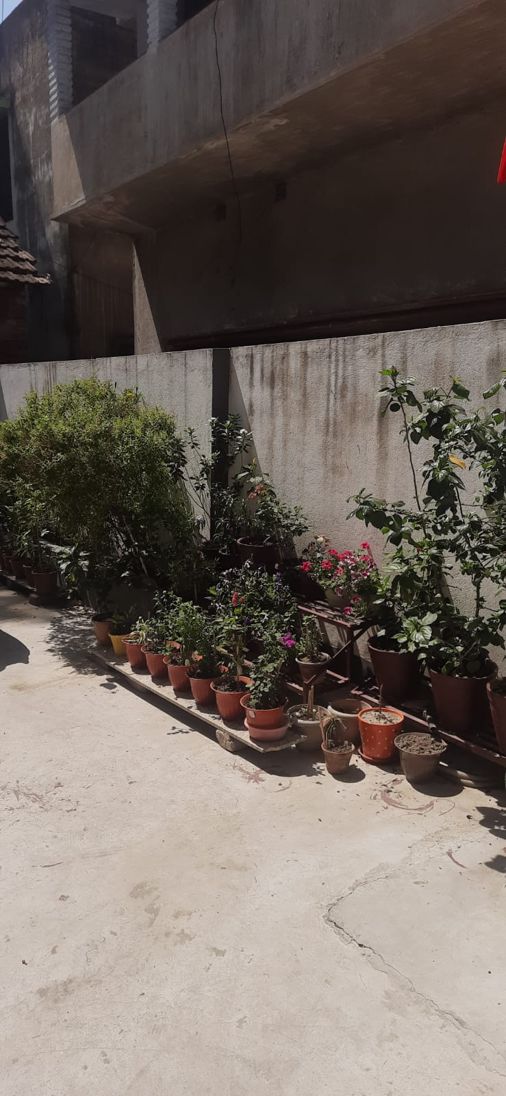 Behala East,Nalapukur Lane,1564sqft,4BHK (PA97)