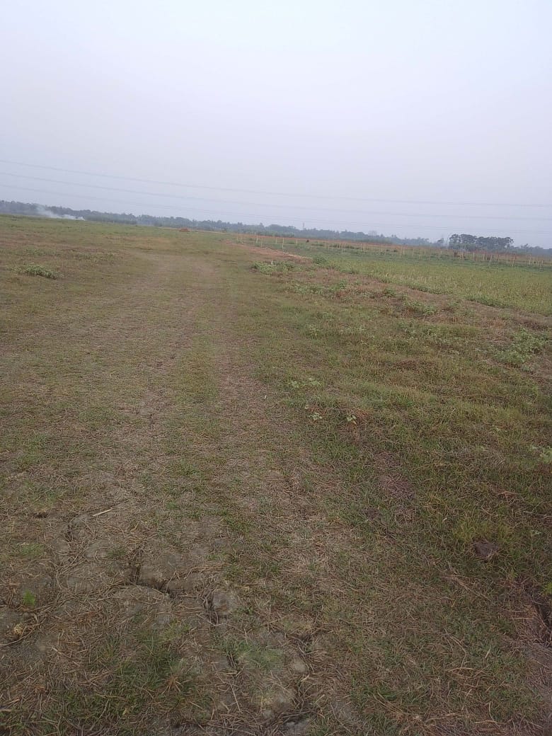 New Town,Bhagowanpur,Flora City Land Project (BA207)